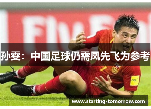 孙雯：中国足球仍需凤先飞为参考